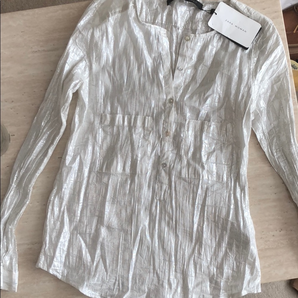 Shimmery Zara top